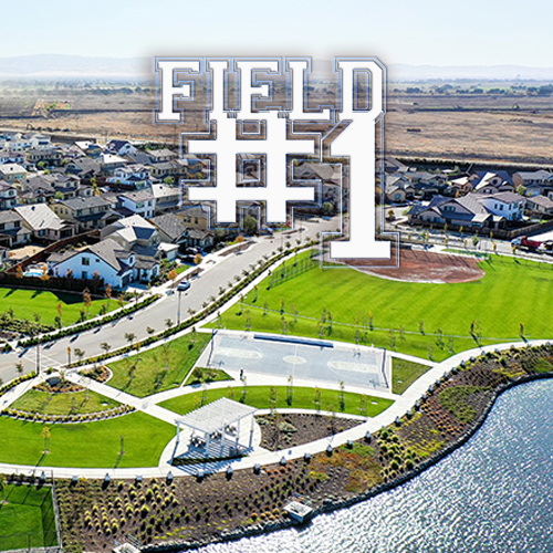 FIELD #1